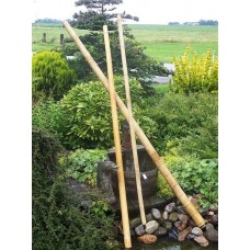 Tuinpaal Bamboe 4-5x240 cm Tuinpaal Bamboe 4-5x240 cm